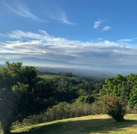 Sabana Redonda de Poás, Alajuela